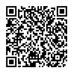 但是尼玛的……这匹狼用爪子在地上写出来的字却是标准的楷书体二维码生成