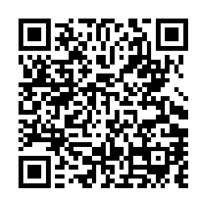 但是已经便览了女子为了吸引男子的注意而使用的各种手段二维码生成