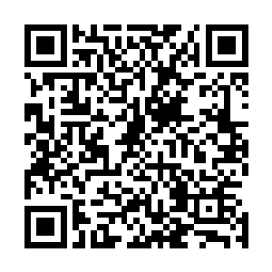 但是已经变成了邪神太古忠实的傀儡的他们什么都无法改变二维码生成