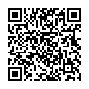 但是巴尔曼紧握着流殇的手还是止不住的轻轻颤抖着二维码生成