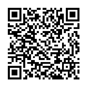但是并不代表着丁羽就一定会见英国皇室和法国方面二维码生成