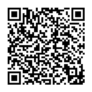 但是并不代表着丁羽就可以随意的去干涉莉莉组织内部的事情和状况二维码生成