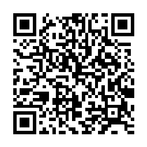 但是幸好轩辕诗画及时用丹青笔绘出了无数鸟兽压制住了毒虫二维码生成