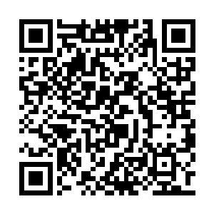 但是强大的妖族又怕它会在它闭关的时候动攻击二维码生成