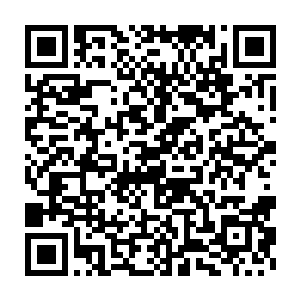 但是强大的水压拍打在结界上却给不少魔岛修士增加了许多的的压力二维码生成