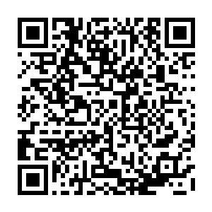 但是当他用手触碰查克拉分身那一块透明的部分的时候却又是真真切切存在的二维码生成