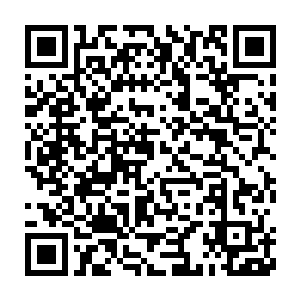 但是当他看到混世大魔王已经流汗和表情怪异的时候他才明白过来二维码生成