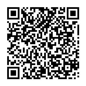 但是当你把实力放低到和他们一个层面的时候你就能看得见他们的特点了二维码生成