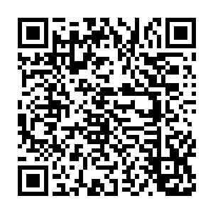 但是很不幸他刚刚往上面爬了没有多久就被陈星宇一把给抓了下来二维码生成