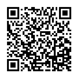 但是心羽菲又不愿意看到她们继续在自己面前做这些轻浮的动作二维码生成