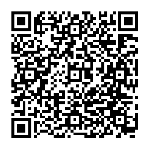 但是心里面却在想着只要出了这百草谷定然要让门派当中的掌门和长老们去踏平白羽门的二维码生成