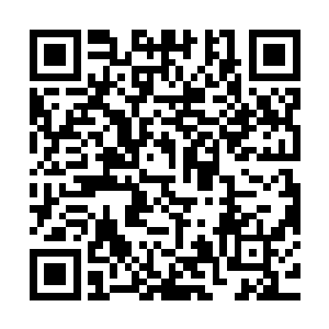 但是想要真正的修炼成功的话根本就不是一时半会儿能够完成的二维码生成