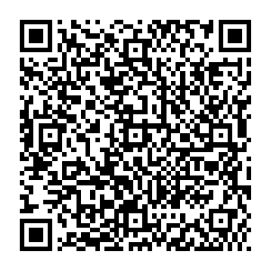 但是我个人认为昌江轻工业学院和我们宋州市目前在这方面的技术人才储备恐怕是不足以支撑起这个产业的发展的二维码生成