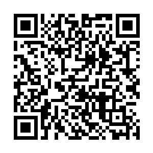 但是我可以从中对比出我们下界与水域沐家炼制灵丹的手法二维码生成