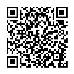 但是我在意识全无的前一刻从琪琪的尖叫中就可以感受的到二维码生成