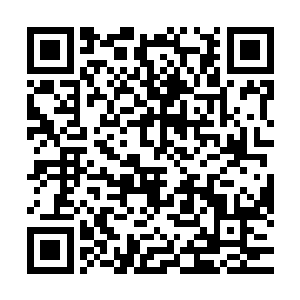 但是我已经被coco的美丽征服了…我们然然既然主动给coco洗白二维码生成