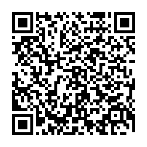 但是我师姐和清浅她们确实是被冤枉的啊……您看看能不能想想办法……二维码生成