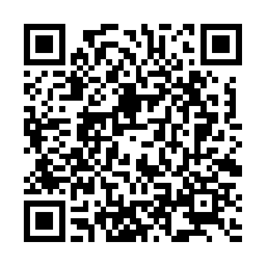 但是我想陆书记现在的身份只是分管经济工作的副书记二维码生成