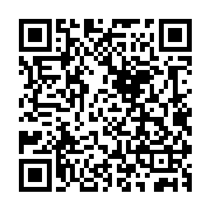 但是战斗中杀死的妖兽却可以作为推动血海杀阵的动力与资源二维码生成