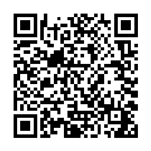 但是据说漠北的武卫将军给芳华小姐寻到了一位神医二维码生成