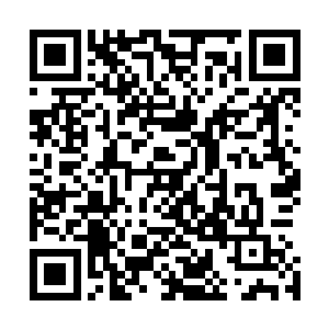 但是摆放在桌上的一些小摆件瞬间就让整个房间是去了灵韵二维码生成