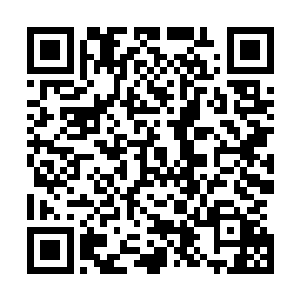 但是政斧常务会议上童市长和毕华胜他们对这一点不够重视二维码生成