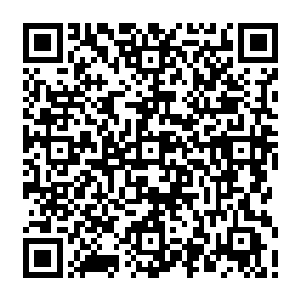 但是整个人散发出来的气息和罗斯表现出来的反应却让旁听观众已经笑到肚子痛了二维码生成