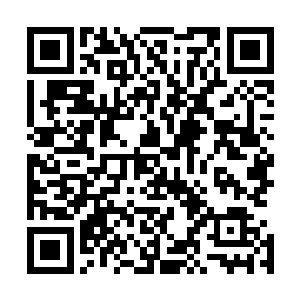 但是整个阵法在傀儡的控制下却跟着傀儡的动作而不断改变二维码生成