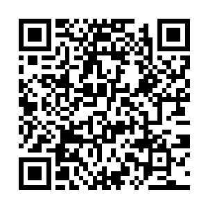 但是既然眼前出现了和八两叔所说的一模一样的记载二维码生成