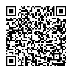 但是更多的是白芷璃感觉到自己和阿墨之间的距离还真的不是一般的大啊二维码生成