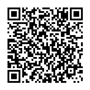 但是最终结果会由学院根据考生的军训表现以及考试成绩做出最后判断二维码生成
