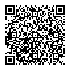 但是有些技艺高超的作假者――这些人一般是木系武者――他们能够用自己体内的木系能量二维码生成