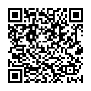 但是李大可的眼睛依旧能够清楚的看到周围的一切事物二维码生成