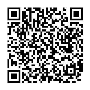但是李青衣和萧白衣的两种体质渡过来的本源清净气和本源白华气二维码生成