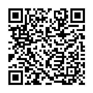 但是林铭却杀死了他最优秀的儿子――极星塔塔主二维码生成