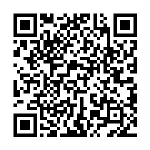 但是梓箐却发现自己体内的能量却随着每次修炼都在增加二维码生成