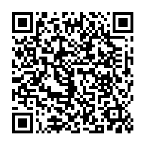 但是正好在这里现了杨晨几人这才会把注意力都转移到他们四人身上来二维码生成