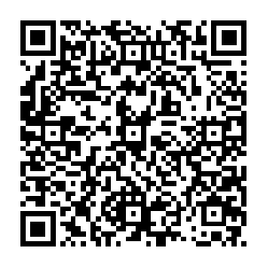 但是此刻我借助了小蝶的灵气更是可以肆无忌惮的控制着古咒锁链将他彻底的锁住二维码生成