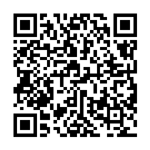 但是此刻消耗大半内力的你们还有继续嚣张下去的本钱吗二维码生成