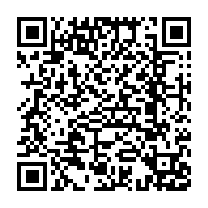 但是此时两个人身上的威压和气势比之前的时候至少提升了十倍不止二维码生成