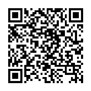 但是此时落入符纹界中的它根本就确定不了正确的方向二维码生成