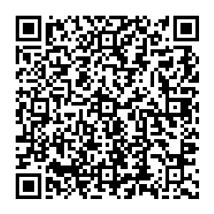 但是每一个李府的下人都满怀感恩的将后厨分发到每人手上的一碗防治风寒的中草药喝的一干二净二维码生成