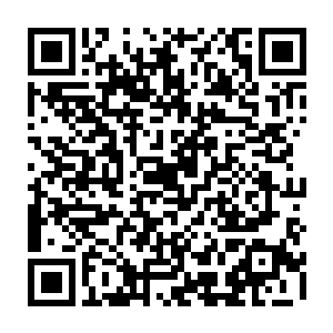 但是每一次来到这里之后都能够令他们升起一种浓浓的怀念和舒爽的情绪二维码生成