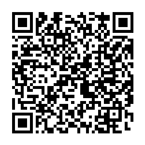 但是每次还没有靠近我便瞬间被一股庞大的力量瞬间缠绕化为了粉碎二维码生成