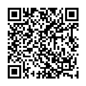 但是水流的撕扯力却开始作用在秦方的身体上了……刺啦二维码生成