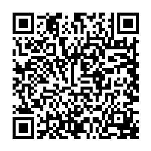 但是流墨墨愤怒无比的声音里隐约的哭腔却让他好像不知道疼一样任由她折腾二维码生成