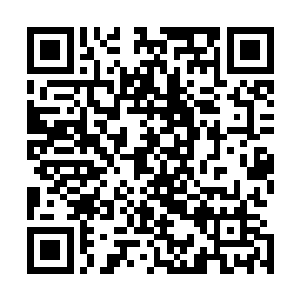 但是海滨和海泉两省还是有数十块面积还算可以的草原地带二维码生成