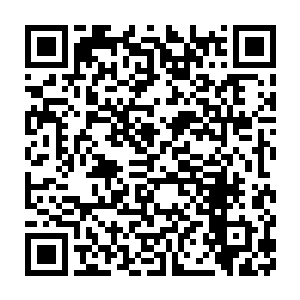 但是狼人也肯定不会就这么安稳的等待着我们对其进行打击不是吗二维码生成