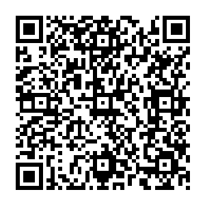 但是现在出来一个上单小鱼人的伤害就完美的弥补了这一刷子型中单中期伤害不足的缺点二维码生成