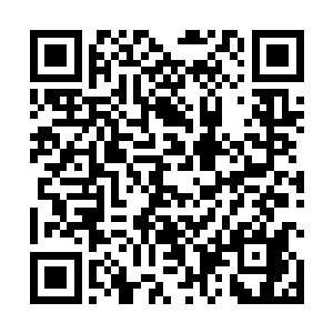 但是现在在加上了一名实力跟着苏凡差不多的蛇夫圣骑二维码生成